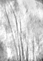 September 2021 2757-Edit-2-10x14