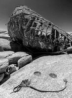 South-Africa-2014-2499-Edit 5x7bw