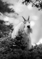 Jasper-May--2016--7579-Edit-2-5x7