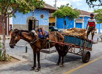 Nicaragua 2016  2072