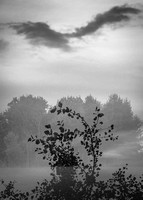August-2020-0372