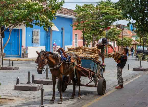 Nicaragua 2016  2070