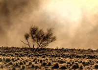 Namibia-2017-2677-Edit