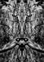 August-2020-0506-Edit