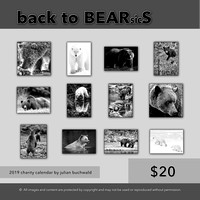 15 Back Cover