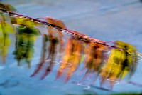September-2016-5672-Edit