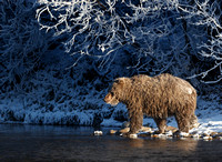 Ice-Grizzlies-2016-6806-Edit