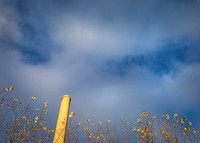 October-2020-3190-Edit