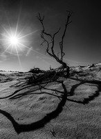 South-Africa-2014-6937-Edit