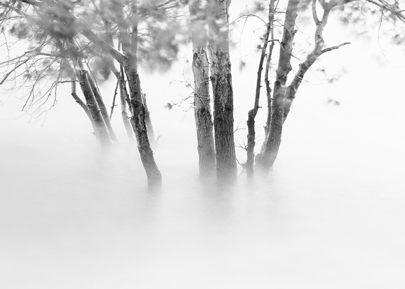 September 2021 3065-Edit-10x14