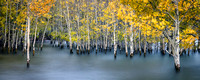 September 2021 3097-Edit