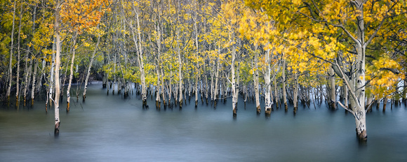 September 2021 3097-Edit
