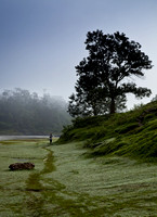 2010 - Nicaragua