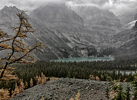 Lake-O'Hara-2014-3747_HDR_1-Edit