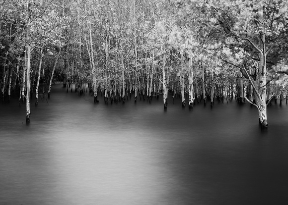 September 2021 3097-Edit-2-10x14